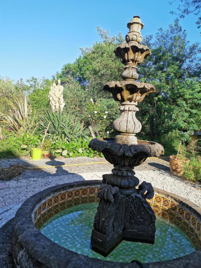 Вілла Domaine Oustau Cassou Chez Yanou Et Yanetto Sevignacq Екстер'єр фото